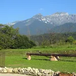 住宿加早餐酒店 La Valle Dell'albero 费尔特雷