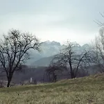 La Valle Dell'albero