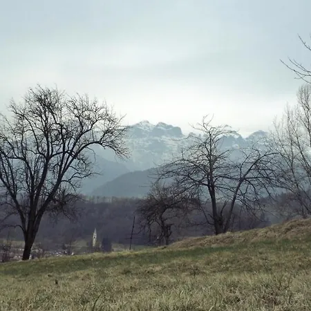 La Valle Dell'albero