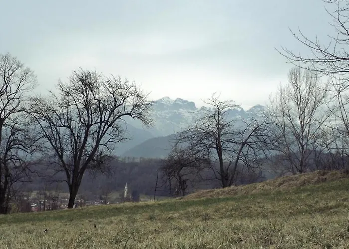 La Valle Dell'albero